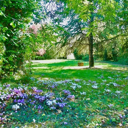 Demeure 13 Personnes Au Centre De * Ruffec (Charente)